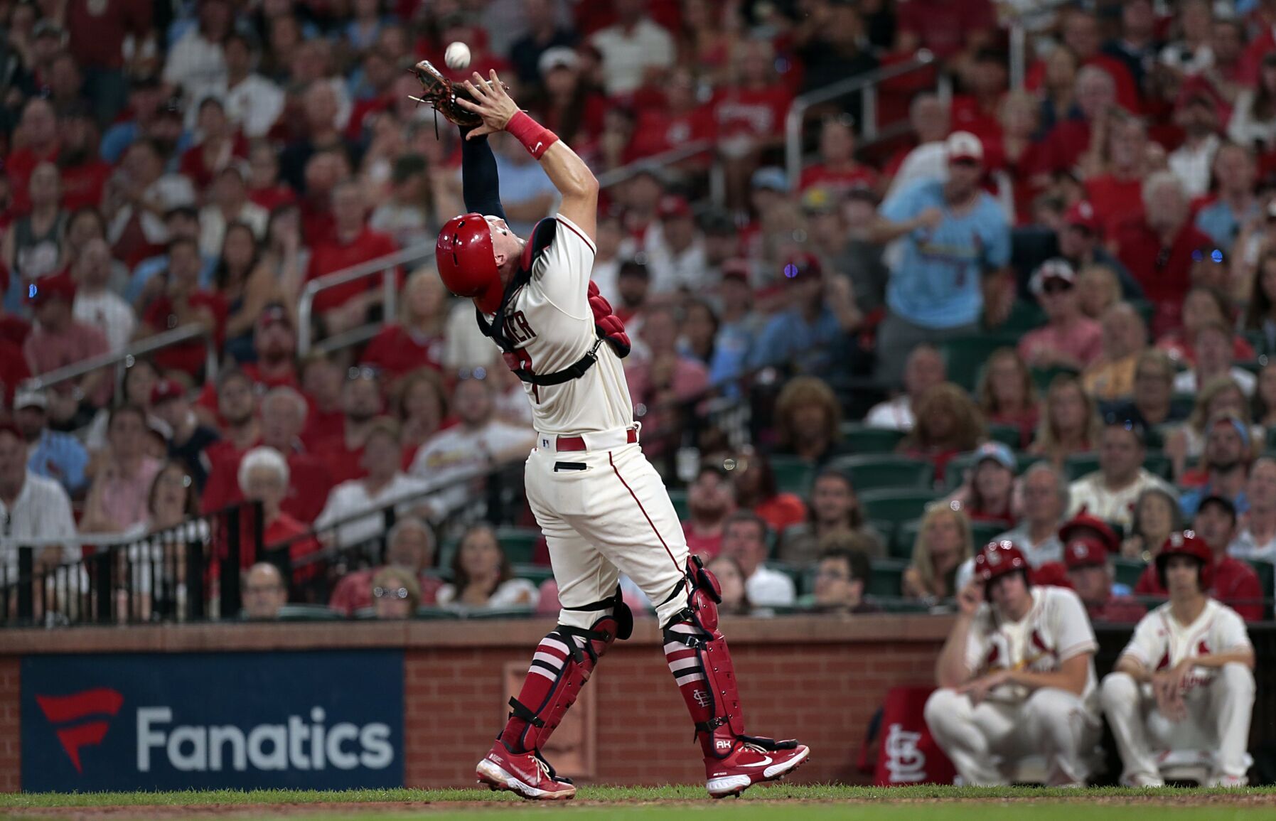Cardinals, Reds at Busch